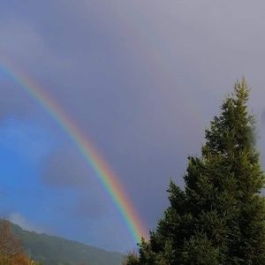 Meet your Posher, Dulce